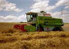 Claas Drescher 17